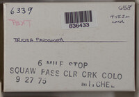 Image Associated With the Occurence